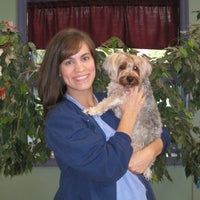 mountain shadow animal hospital