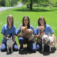 mountain shadow animal hospital