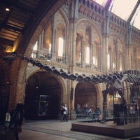 Photo taken at Natural History Museum by Lesya L. on 4/17/2013