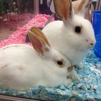 Photo taken at Pet Supplies Plus Centreville by Fahad H. on 3/3/2013