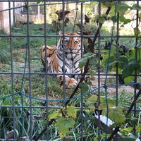 Das Foto wurde bei Зоопарк София (Sofia Zoo) von Abeer.coco أ. am 10/9/2018 aufgenommen