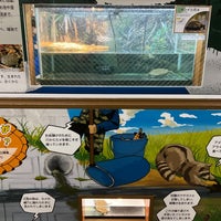 4/19/2023に亀茸 カ.が足立区生物園で撮った写真