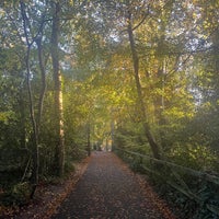 Photo taken at Malahide Castle Park by Jordan on 11/12/2023