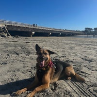 Photo taken at Del Mar Dog Beach by Stephanie W. on 1/5/2024