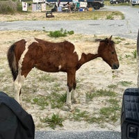 Photo taken at Assateague Island National Seashore (Maryland) by Jeanie D. on 8/21/2023