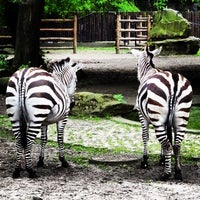 Miejski Ogrod Zoologiczny Nowa Praga Warschau Woiwodschaft