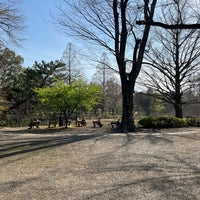 Photo taken at Zenpukuji Park by とめ on 3/30/2024
