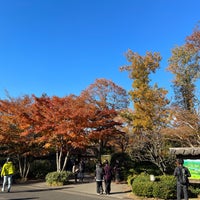 Photo taken at 昭和記念公園 日本庭園 by とめ on 12/3/2023
