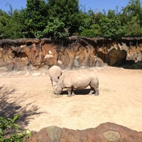 Photo taken at White Rhinoceros Exhibit @ Houston Zoo by R . on 5/8/2013