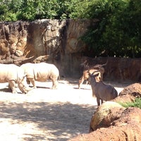 Photo taken at White Rhinoceros Exhibit @ Houston Zoo by R . on 5/8/2013