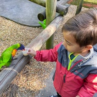 Foto scattata a Brevard Zoo da Olga il 11/23/2021
