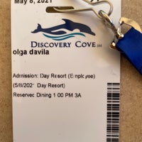 Photo prise au Discovery Cove par Olga le5/8/2021