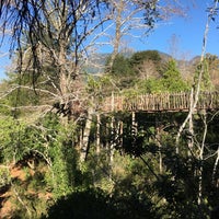 รูปภาพถ่ายที่ Tree Lodge, Nidos de Pucón โดย German เมื่อ 4/9/2016
