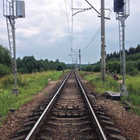 Торковичи купчино