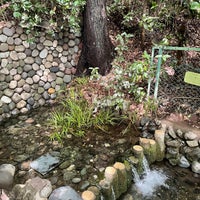 Photo taken at お鷹の道・真姿の池湧水群 by でね on 7/17/2022