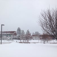 12/3/2013にHermanがUniversity of Minnesota Duluthで撮った写真