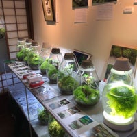 苔むすび Kamakura Miscellaneous Shop In 鎌倉 苔むすび Kamakura Miscellaneous Shop In 鎌倉
