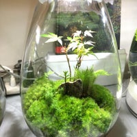 苔むすび Kamakura Miscellaneous Shop In 鎌倉 苔むすび Kamakura Miscellaneous Shop In 鎌倉