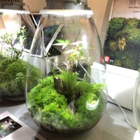 苔むすび Kamakura Miscellaneous Shop In 鎌倉 苔むすび Kamakura Miscellaneous Shop In 鎌倉