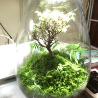 苔むすび Kamakura Miscellaneous Shop In 鎌倉 苔むすび Kamakura Miscellaneous Shop In 鎌倉