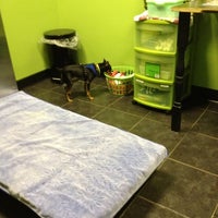 paws purrs and exotics animal hospital