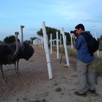 9/20/2013 tarihinde Amaliaziyaretçi tarafından Hacienda Macanao'de çekilen fotoğraf