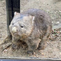 Photo taken at 五月山動物園 by Sdeeplook on 1/20/2024