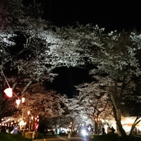 寺尾ヶ原千本桜公園 関市 岐阜県