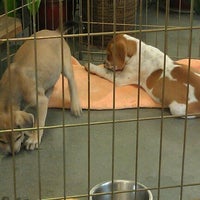 Photo prise au West Ashley Veterinary Clinic par Charleston Dog W. le11/20/2012