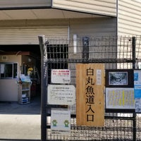 白丸ダム魚道 奥多摩 奥多摩町 東京都 白丸ダム魚道 奥多摩 奥多摩町 東京都