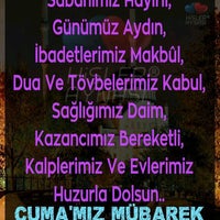 tulip park hali saha 543 ziyaretcidan 1 tavsiye