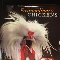 Barnes Noble Bookstore In Rochester