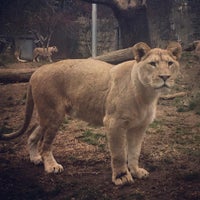 Foto diambil di Philadelphia Zoo oleh Bradley S. pada 12/17/2015