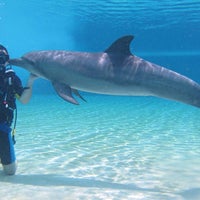 9/23/2014에 Dolphin Bay님이 Dolphin Bay에서 찍은 사진