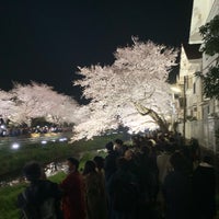 Photo taken at 野川桜ライトアップ by Yato Y. on 4/4/2019