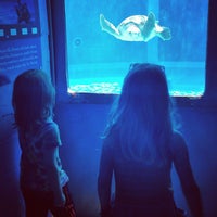 Foto tirada no(a) Clearwater Marine Aquarium por Clearwater Marine Aquarium em 2/18/2015