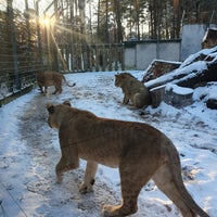 Photo taken at Riga Zoo by Artūrs P. on 11/22/2022