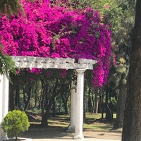 Photo taken at Parque Lira by China on 10/6/2019