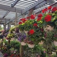 Kbk Garden Center Saline Mi