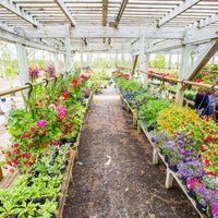 Kbk Garden Center Saline Mi