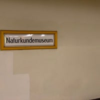 Photo taken at U Naturkundemuseum by Peter F. on 8/14/2019