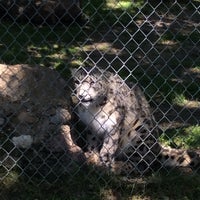 Das Foto wurde bei Roosevelt Park Zoo von Ирина Г. am 6/23/2015 aufgenommen