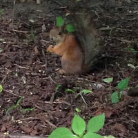 Photo taken at Sokolniki Park by Yuliya M. on 6/5/2015