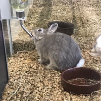 Aveve Garden Center In Droeshout