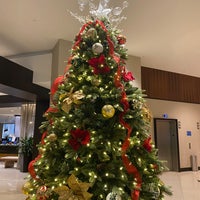 12/11/2021 tarihinde Allie F.ziyaretçi tarafından Hilton'de çekilen fotoğraf