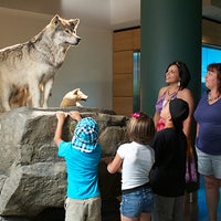 รูปภาพถ่ายที่ Mashantucket Pequot Museum and Research Center โดย Mashantucket Pequot Museum and Research Center เมื่อ 8/2/2013