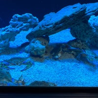 Photo taken at Emaar Aquarium &amp;amp; Underwater Zoo by Bilal Metehan Ç. on 10/21/2023