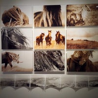 1/31/2014에 Fern님이 The Wild Horses of Sable Island에서 찍은 사진