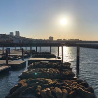 Photo taken at Sea Lions by ᧒𐑵𐑥𐑞੬𐑾ɛ / on 2/24/2018