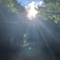 Photo taken at Parkland Walk (Crouch End to Highgate section) by I B. on 7/8/2018